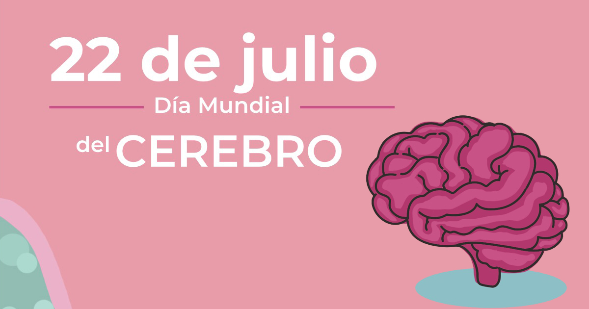 Abrir PDF